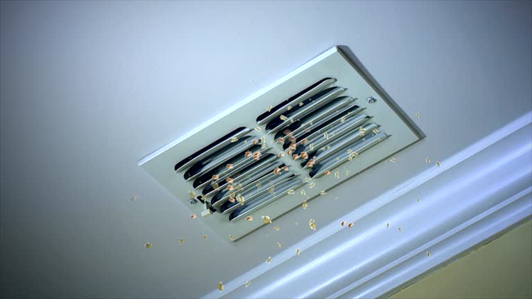 Best HVAC System Cleaning  in Humboldt, TN